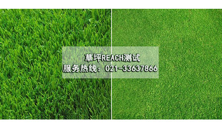 草坪REACH測(cè)試