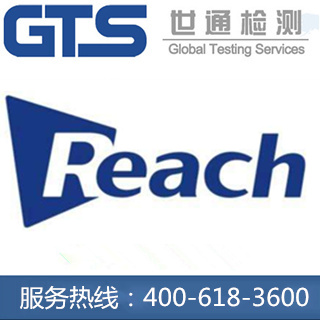 REACH測試