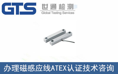 磁感應(yīng)線ATEX認(rèn)證