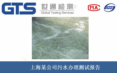 污水測(cè)試報(bào)告